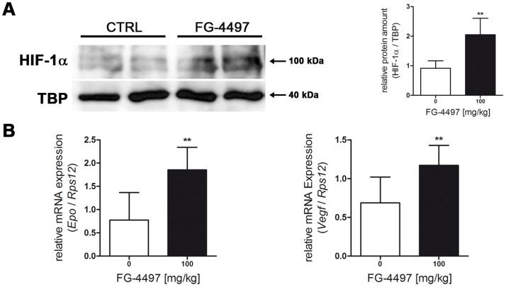 https://cdn.ncbi.nlm.nih.gov/pmc/blobs/de81/3883663/0897f9d6265d/pone.0084767.g006.jpg