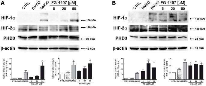 https://cdn.ncbi.nlm.nih.gov/pmc/blobs/de81/3883663/b6adf2d0d732/pone.0084767.g001.jpg