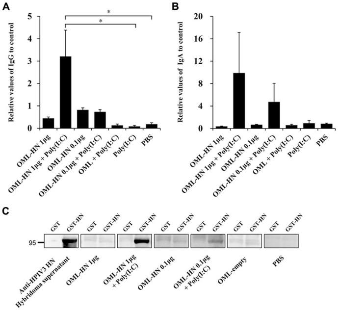 https://cdn.ncbi.nlm.nih.gov/pmc/blobs/de82/3840497/664fbe9af68d/fmicb-04-00346-g003.jpg