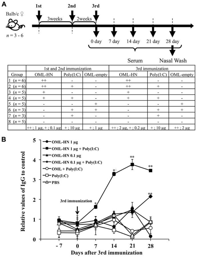 https://cdn.ncbi.nlm.nih.gov/pmc/blobs/de82/3840497/c19721a0a3c3/fmicb-04-00346-g002.jpg