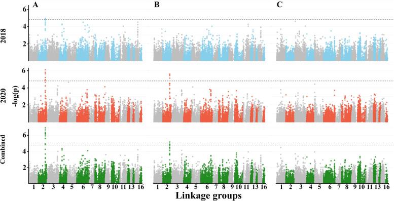 https://cdn.ncbi.nlm.nih.gov/pmc/blobs/de85/8607594/9d61a193283b/12870_2021_3328_Fig6_HTML.jpg