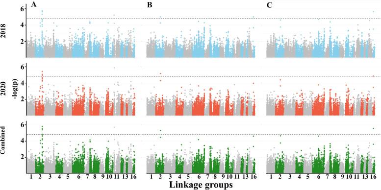 https://cdn.ncbi.nlm.nih.gov/pmc/blobs/de85/8607594/bf65598a71dc/12870_2021_3328_Fig5_HTML.jpg