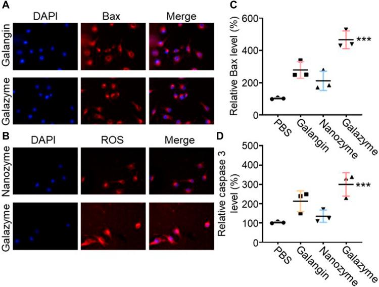 https://cdn.ncbi.nlm.nih.gov/pmc/blobs/de89/11194749/03dff2c3ea8e/fchem-12-1426634-g003.jpg