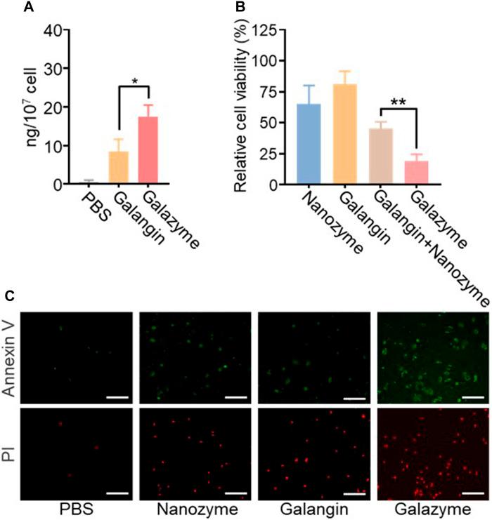 https://cdn.ncbi.nlm.nih.gov/pmc/blobs/de89/11194749/79d45e02939b/fchem-12-1426634-g002.jpg