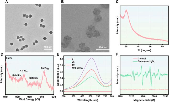 https://cdn.ncbi.nlm.nih.gov/pmc/blobs/de89/11194749/8aac9a7b5d8f/fchem-12-1426634-g001.jpg