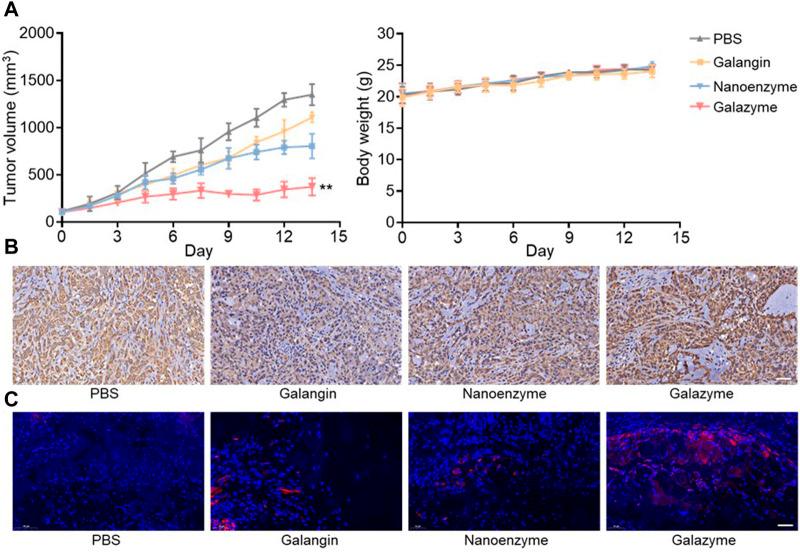 https://cdn.ncbi.nlm.nih.gov/pmc/blobs/de89/11194749/d3ea371f4884/fchem-12-1426634-g004.jpg