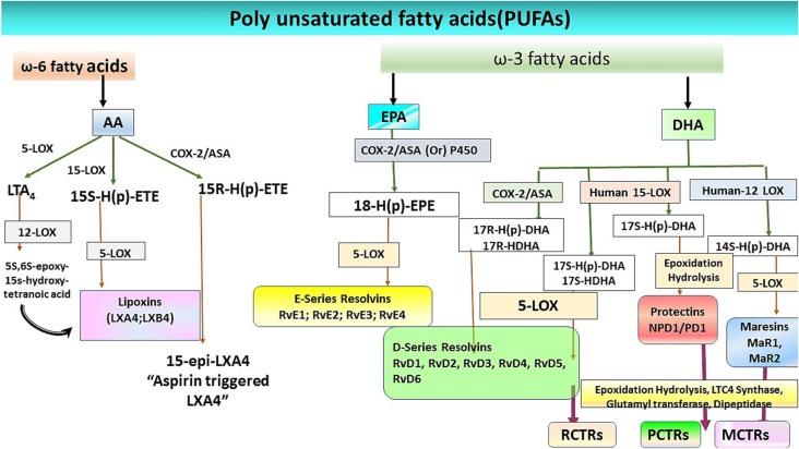 https://cdn.ncbi.nlm.nih.gov/pmc/blobs/de89/9884647/0f5fce85486e/gr1_lrg.jpg