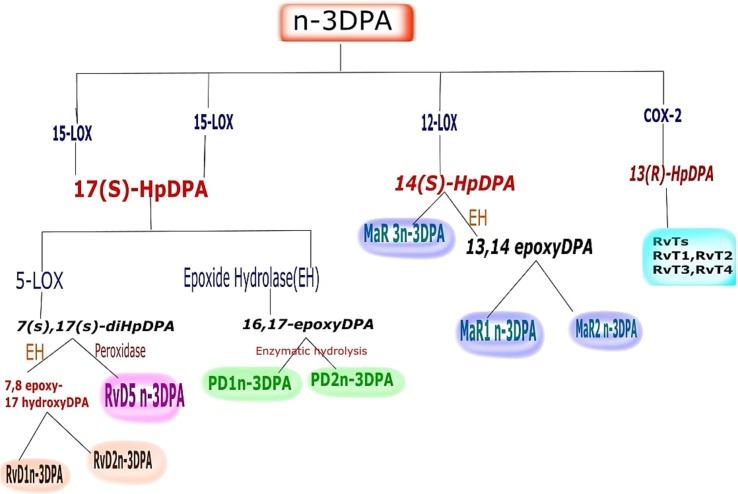 https://cdn.ncbi.nlm.nih.gov/pmc/blobs/de89/9884647/bb27f34eaa9c/gr2_lrg.jpg