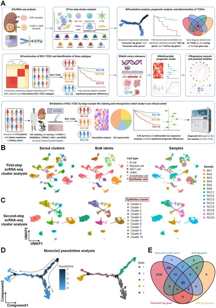 https://cdn.ncbi.nlm.nih.gov/pmc/blobs/de8b/12010653/318acbc2abaa/IANN_A_2490830_F0001_C.jpg
