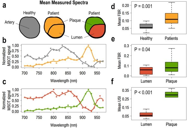 https://cdn.ncbi.nlm.nih.gov/pmc/blobs/de8b/8340302/40ef98ec1742/gr3.jpg