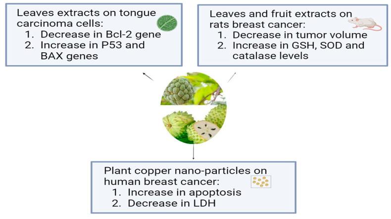https://cdn.ncbi.nlm.nih.gov/pmc/blobs/de8d/11124340/3ae73763978e/pharmaceuticals-17-00574-g001.jpg