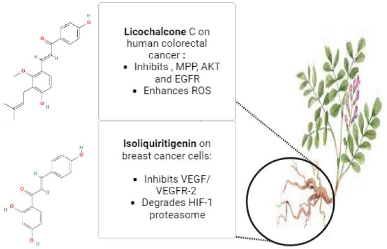 https://cdn.ncbi.nlm.nih.gov/pmc/blobs/de8d/11124340/3f4fadad2693/pharmaceuticals-17-00574-g004.jpg