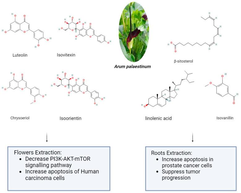 https://cdn.ncbi.nlm.nih.gov/pmc/blobs/de8d/11124340/9abcc4f7d776/pharmaceuticals-17-00574-g002.jpg