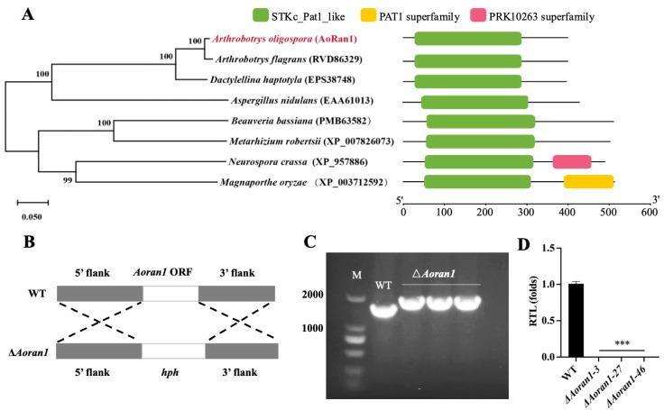 https://cdn.ncbi.nlm.nih.gov/pmc/blobs/de8d/11434409/1442737487b6/microorganisms-12-01853-g001.jpg