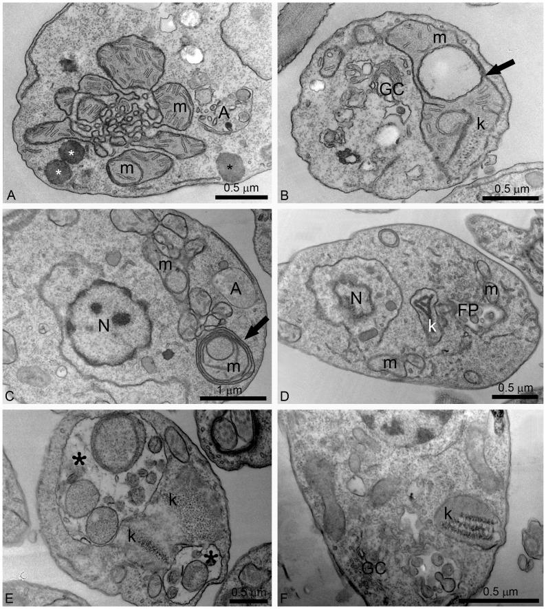 https://cdn.ncbi.nlm.nih.gov/pmc/blobs/de8d/3871555/c2b79ef52f56/pone.0083247.g007.jpg