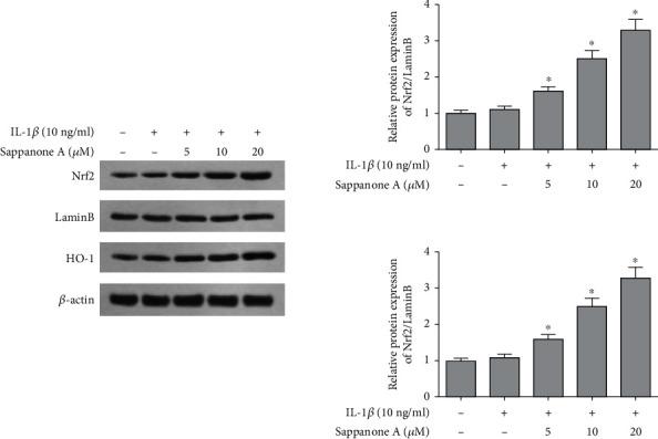 https://cdn.ncbi.nlm.nih.gov/pmc/blobs/de8d/9507726/0fed2d058920/DM2022-2380879.008.jpg