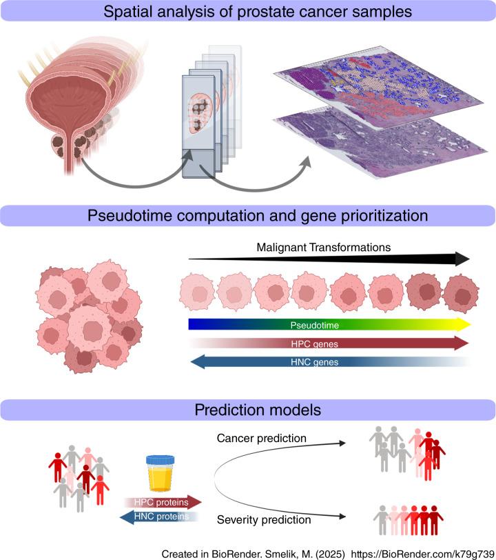 https://cdn.ncbi.nlm.nih.gov/pmc/blobs/de8e/12214874/14f527c16355/can-25-0269_ga.jpg