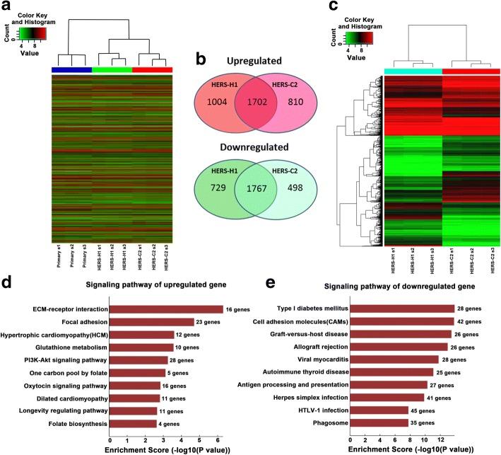 https://cdn.ncbi.nlm.nih.gov/pmc/blobs/de8e/6319004/d48b523b5cac/13287_2018_1106_Fig6_HTML.jpg