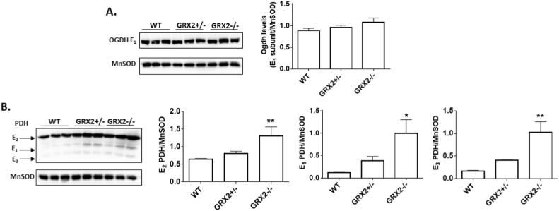 https://cdn.ncbi.nlm.nih.gov/pmc/blobs/de92/5773472/f921370d4917/gr5.jpg