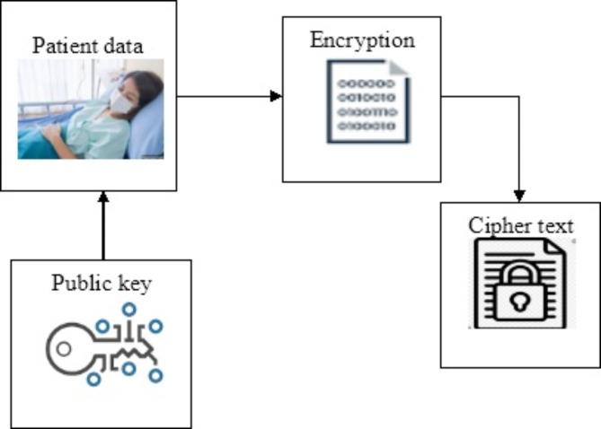 https://cdn.ncbi.nlm.nih.gov/pmc/blobs/de94/11806013/c0847ca44f82/41598_2025_88105_Fig2_HTML.jpg