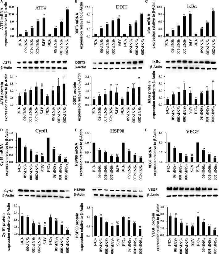 https://cdn.ncbi.nlm.nih.gov/pmc/blobs/de95/8419178/e492adba2916/JCMM-25-8338-g004.jpg