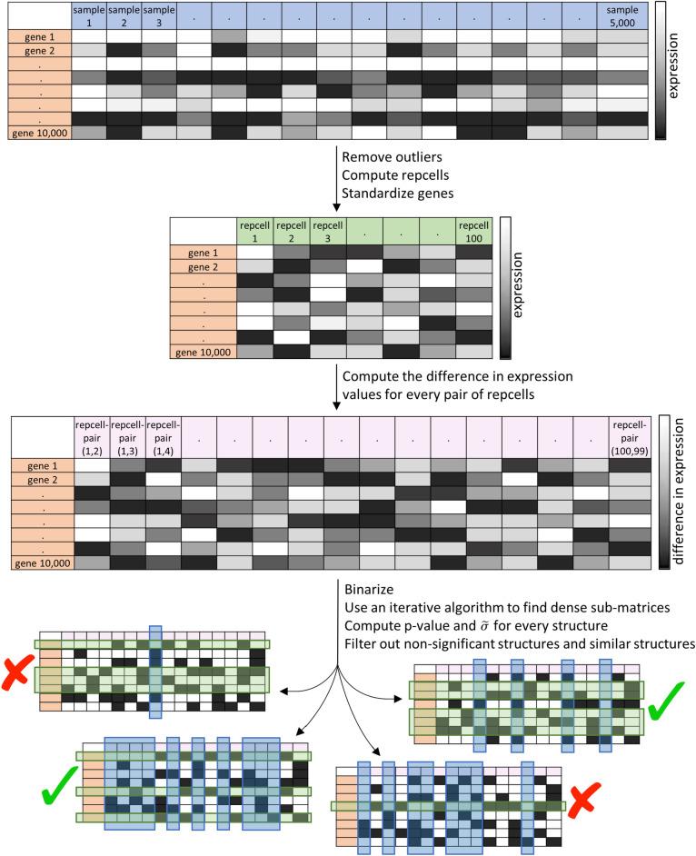 https://cdn.ncbi.nlm.nih.gov/pmc/blobs/de99/11525848/d16dc0af0875/41598_2024_75314_Fig1_HTML.jpg