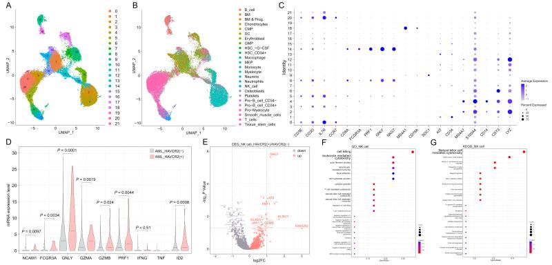 https://cdn.ncbi.nlm.nih.gov/pmc/blobs/de9c/11727352/782f7ce04c64/biomedicines-12-02717-g001.jpg