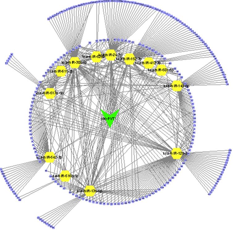 https://cdn.ncbi.nlm.nih.gov/pmc/blobs/de9f/7738991/510205929aae/jcav12p0611g003.jpg