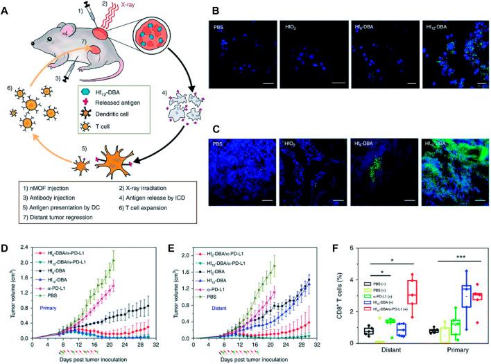 https://cdn.ncbi.nlm.nih.gov/pmc/blobs/dea4/11269265/f6944921bf71/fbioe-12-1436297-g009.jpg