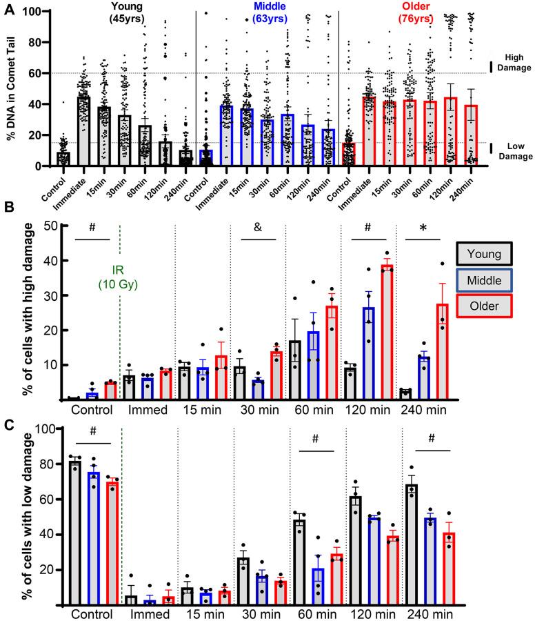https://cdn.ncbi.nlm.nih.gov/pmc/blobs/dea5/10756124/238bba8aafaa/aging-15-205394-g003.jpg