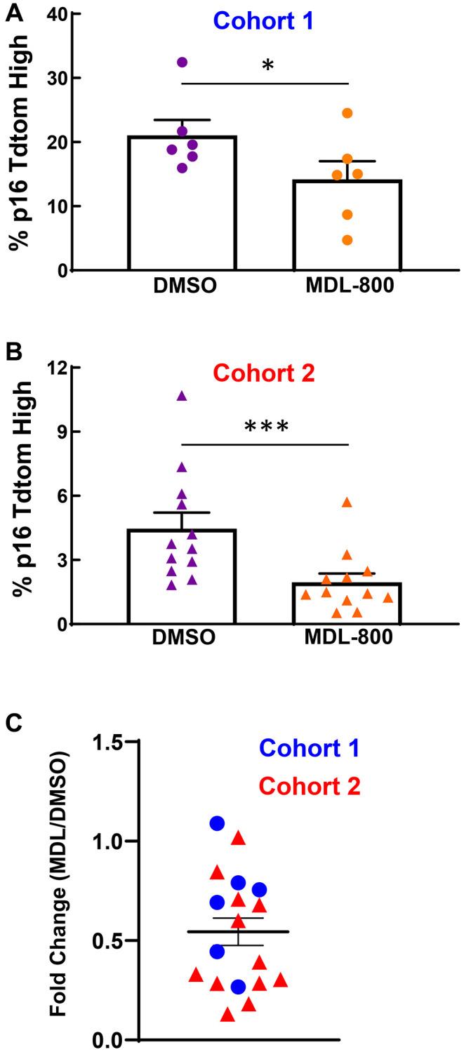 https://cdn.ncbi.nlm.nih.gov/pmc/blobs/dea5/10756124/60453065ef9a/aging-15-205394-g007.jpg