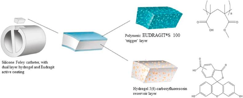 https://cdn.ncbi.nlm.nih.gov/pmc/blobs/dea5/12391287/93b50f2e6855/gr4.jpg