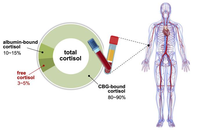 https://cdn.ncbi.nlm.nih.gov/pmc/blobs/dea5/9449105/c5c52513669c/enm-2022-1549f3.jpg
