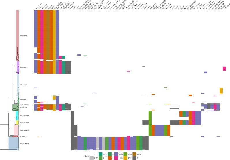 https://cdn.ncbi.nlm.nih.gov/pmc/blobs/dea6/10986507/4d157a5980f7/spectrum.03584-23.f001.jpg