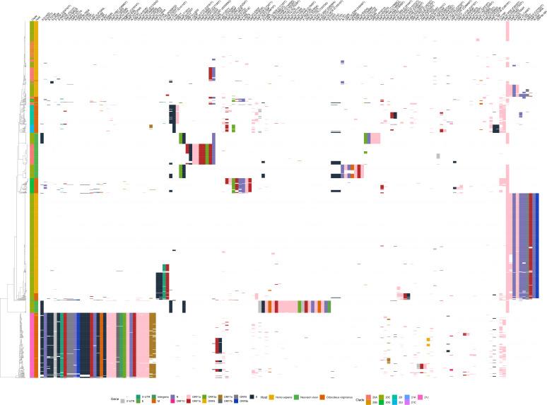 https://cdn.ncbi.nlm.nih.gov/pmc/blobs/dea6/10986507/9120cd6ebb9a/spectrum.03584-23.f004.jpg