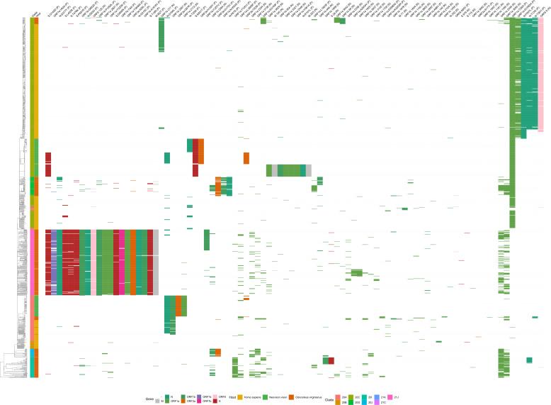 https://cdn.ncbi.nlm.nih.gov/pmc/blobs/dea6/10986507/c78d3f7c115b/spectrum.03584-23.f006.jpg