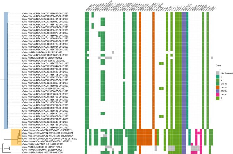 https://cdn.ncbi.nlm.nih.gov/pmc/blobs/dea6/10986507/e88585772178/spectrum.03584-23.f008.jpg