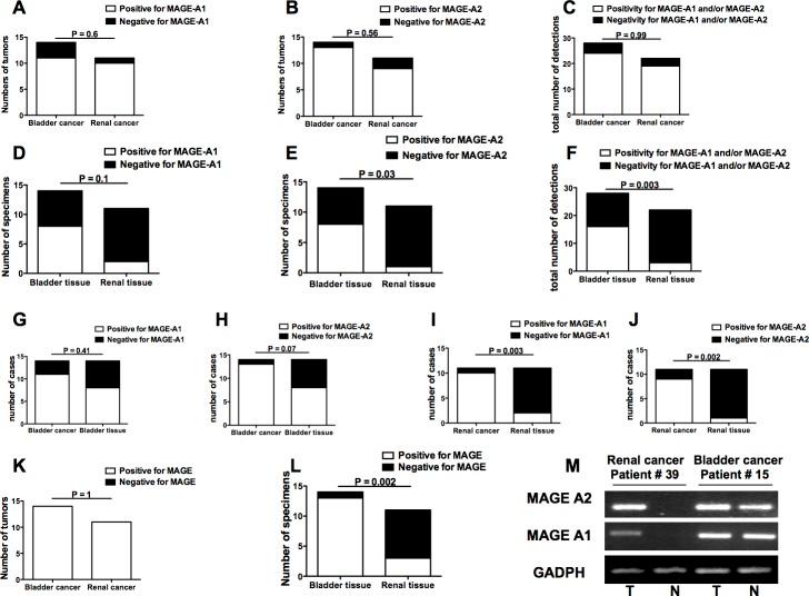 https://cdn.ncbi.nlm.nih.gov/pmc/blobs/dea7/4872724/1d477da27468/oncotarget-07-6424-g005.jpg
