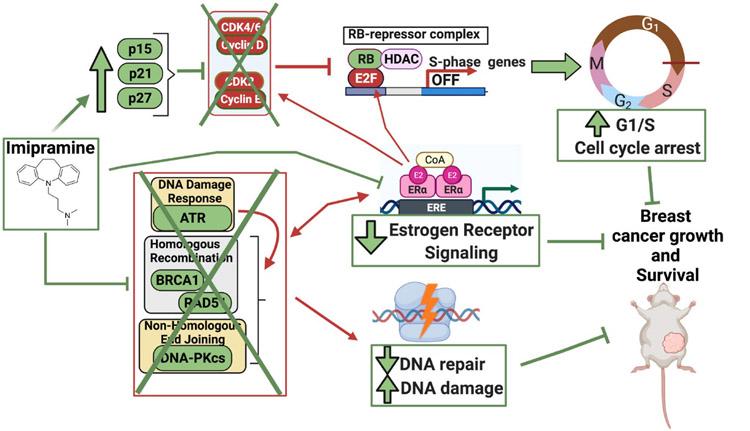 https://cdn.ncbi.nlm.nih.gov/pmc/blobs/dea8/10313451/ccc39e00b566/nihms-1821833-f0006.jpg