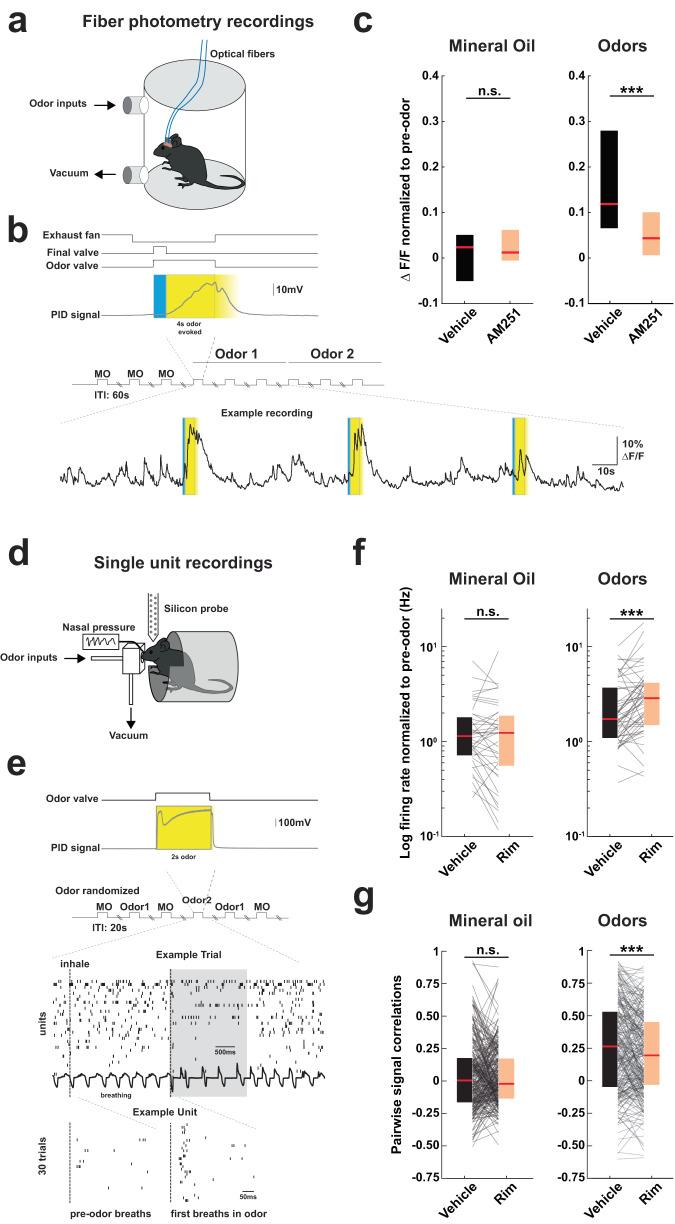 https://cdn.ncbi.nlm.nih.gov/pmc/blobs/deab/10858223/6f7611ac25fe/41467_2024_45161_Fig4_HTML.jpg