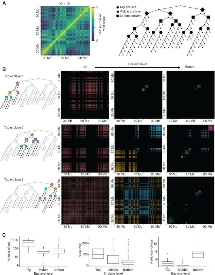 https://cdn.ncbi.nlm.nih.gov/pmc/blobs/deae/7049727/9652cad1c580/gkaa004fig2.jpg