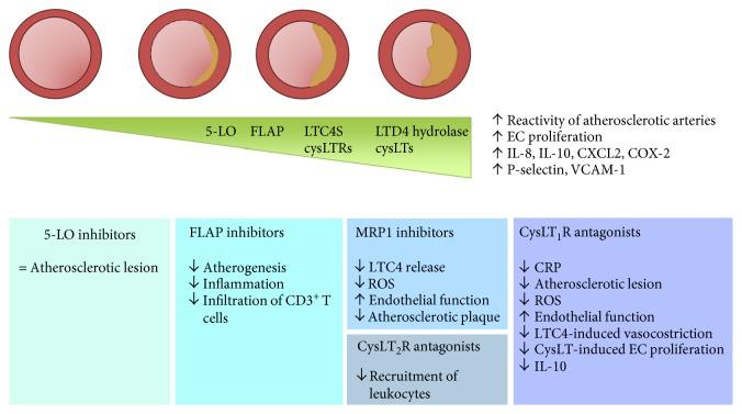 https://cdn.ncbi.nlm.nih.gov/pmc/blobs/deb1/5592403/3709bba918a6/MI2017-2432958.002.jpg