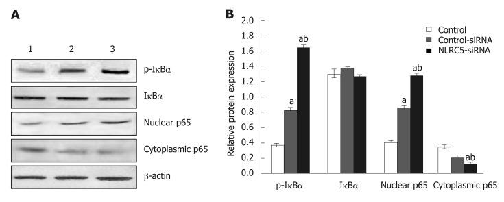 https://cdn.ncbi.nlm.nih.gov/pmc/blobs/deb1/6603813/0bbd8e377c07/WJG-25-3044-g009.jpg