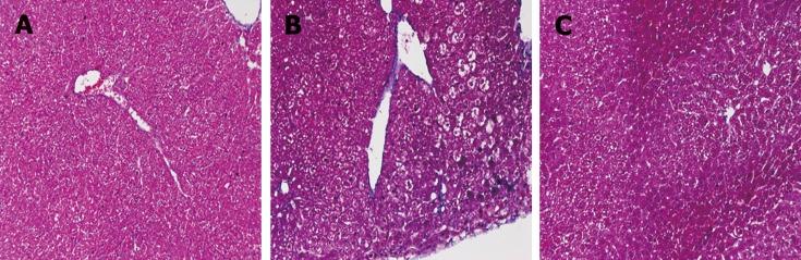 https://cdn.ncbi.nlm.nih.gov/pmc/blobs/deb1/6603813/2cb346466b0a/WJG-25-3044-g001.jpg