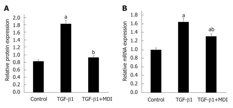 https://cdn.ncbi.nlm.nih.gov/pmc/blobs/deb1/6603813/5ae35406df52/WJG-25-3044-g005.jpg