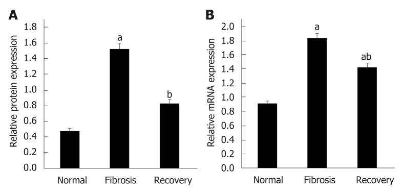 https://cdn.ncbi.nlm.nih.gov/pmc/blobs/deb1/6603813/680193622dd2/WJG-25-3044-g004.jpg