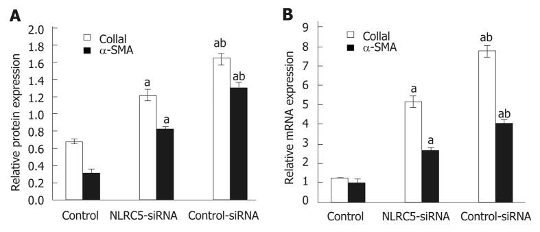 https://cdn.ncbi.nlm.nih.gov/pmc/blobs/deb1/6603813/c8b2b75c22cf/WJG-25-3044-g007.jpg