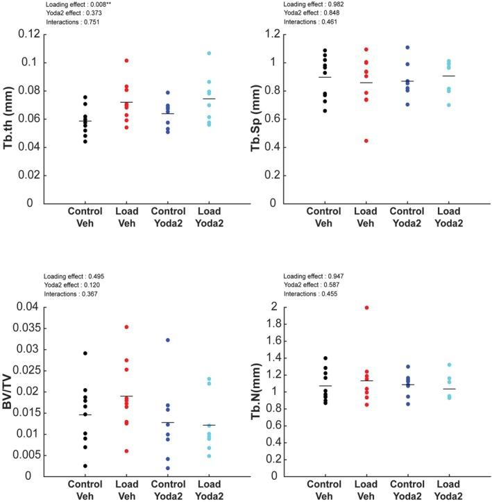 https://cdn.ncbi.nlm.nih.gov/pmc/blobs/deb2/12341773/8ea32fab0b53/ACEL-24-e70087-g007.jpg