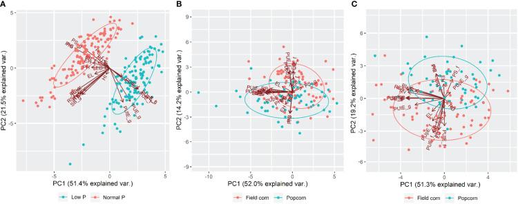 https://cdn.ncbi.nlm.nih.gov/pmc/blobs/deb3/11380136/e2ca69aaeadd/fpls-15-1366173-g002.jpg