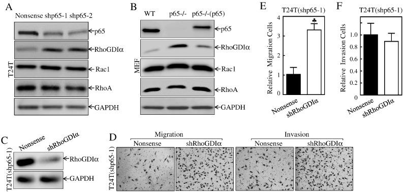 https://cdn.ncbi.nlm.nih.gov/pmc/blobs/deb3/5540704/0b3a9f28606e/gr2.jpg